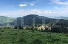 De vanzare, teren intravilan 10.000mp, Predeal - 3