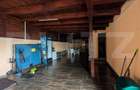 Casa de vanzare, 300 mp, zona Sud - 6