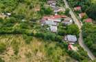 0% COMISION - Teren Intravilan 2.700 mp în Bucium - ASFALT, UTILITATI - 13