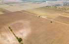 DASCALU – TEREN INTRAVILAN 11300 MP, INVESTITIE! - 15