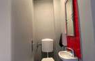 Apartament spatios 2 camere | Centrul Nou | Vila | Curte si gradina - 14