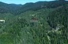 Teren 120.000 mp Sucevița – oportunitate de investiție în turism - 5