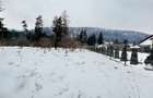 Teren intravilan - Sacele - Brasov - 2