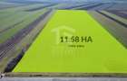 Teren folosinta conditii speciale | Oportunitate investitie | Nadlac - 2