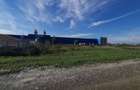 Dumbravita teren industrial 1700 mp 110000 euro - 3