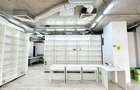 Spatiu Comercial Vasile Lascar - 7