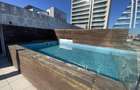 Penthouse, 5 camere, piscina proprie, zona  Kiseleff - Arcul de Triumf. - 21