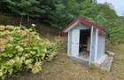 Căsuță de vacanță de vânzare – comuna Alexandru cel Bun, Neamț - 5