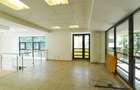 Spatiu pentru clinica - Titulescu /Banu Manta - 6