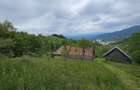 Domeniu Premium 1.7 Ha Intravilan Zărnești | Lizieră Pădure | Ideal Resort - 6