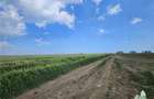 TEREN INTRAVILAN 50000 MP AGIGEA ZONA RO RO - 9