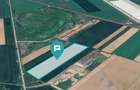 Teren intravilan 35.000 mp – Șag - 1