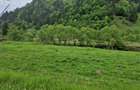 Teren intravilan - Rucar - Satic - 1775 mp - la strada principala - deschidere - 6
