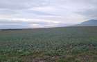 Oază de Natură și Potențial: Teren de 48.100 mp lângă Delta din Carpați - 3