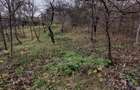 Casă de vânzare, 2 camere, 60 mp, 900 mp teren Dâmbul Rotund zona Dedeman - 6