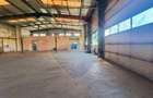 Spațiu industrial Hala Branesti deschidere directa DN3 - 8