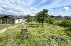 Teren Intravilan, 1038 mp, Zona Izvorul Sarat - 2