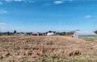 Ferma 3,3ha, din care 2,5ha intravilan, vila 7 camere, D+P+E+M, casa pentru munc - 9