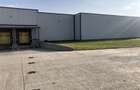Inchiriere depozit/hala/spatiu industrial Chiajna - A1 - Centura - 2