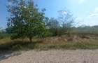 Teren 100Omp, Clinceni, Str Rozelor - 4
