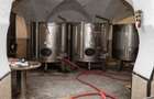 CRAMĂ PREMIUM DE VÂNZARE -60 HA- CONAC ISTORIC- PODGORIA DRĂGĂȘANI - 16