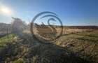 Teren intravilan de vanzare | 12.650 mp | Ghirdoveni, | Comision 0% - 7