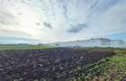 Vanzare Teren pretabil constructie hale, 28.100 mp, Halchiu - 5