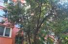 Tei, 2 camere, 1986, renovat,mobilat, utilat,0% comision. - 7