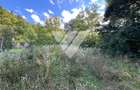 Teren de vanzare - Fantanele - Intravilan  -  1148 MP - 1