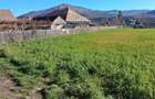 Teren intravilan Stejaru, plat, pretabil constructie, 1700mp - 4