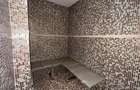 REA1022823 Duplex 200 mp I Herastrau I Sauna I Priveliste catre lac - 19