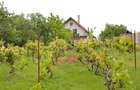 Vilă 5 dormitoare, 4 băi, 2 248mp teren, piscină. Preț: 229 000 E. - 14