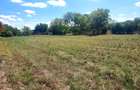 CLUB SNAGOV-VILA SUPERBA, TOTAL PRIVACY,FINISAJE LUX,CURTE 2000  MP,565000 EURO - 41