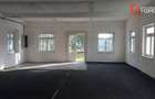Hala de inchiriat - Spatiu ideal pentru depozitare sau productie - 2
