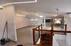 Loft spatios la Cismigiu - 6
