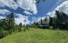 TEREN EXTRAVILAN DE VANZARE | CAMPULUNG MOLDOVENESC | 235.000€ - 3
