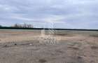 Teren de inchiriat 7000 mp | Platforma pietruita | Acces TIr | Depozit - 2