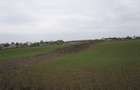 Teren intravilan | Snagov | Izvorani | 2800mp | Stradal - 4
