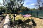 Vanzare casa cu 6 camere - Rahova, sectorul 5 - 21