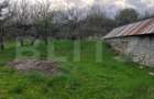 Teren Construibil 2900 mp cu 2 deschideri la asfalt – livadă matură, DN 72A - 12
