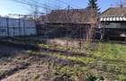 Casa renovabila, cu 750 m.p. teren, Apahida - 9
