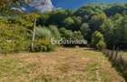 Teren intravilan de vanzare – Curtea de Arges, Str. Valea Doamnei - 3