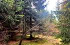Vanzare 5,3 ha păsune deasupra Voronețului Suceava - Proiect Turistic - 32