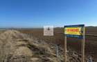 Teren intravilan 47.400 mp, Vama Veche, 200 m de Marea Neagra - 14