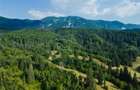 Film! Teren cu destinatie turistica si agrement, Poiana Brasov - Rasnov - 5
