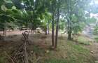 Casa 6 camere, 215 mp, 2300 mp curte, zona Horpaz