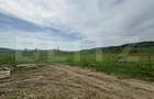 Hala, 230mp , zona Sud - 10