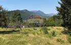 Comision 0% |Teren intravilan 2.700 mp | Sohodol – Bran |Castelul Bran