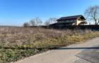 Gradistea- Ilfov, str. Nuferilor - 1000 mp - 1