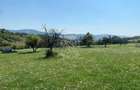 Teren 11.000 mp-ideal cabana/ferma-Unirea-Valea Slatinitei - 2